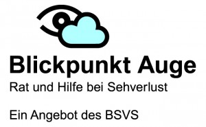 Blickpunkt Auge Logo