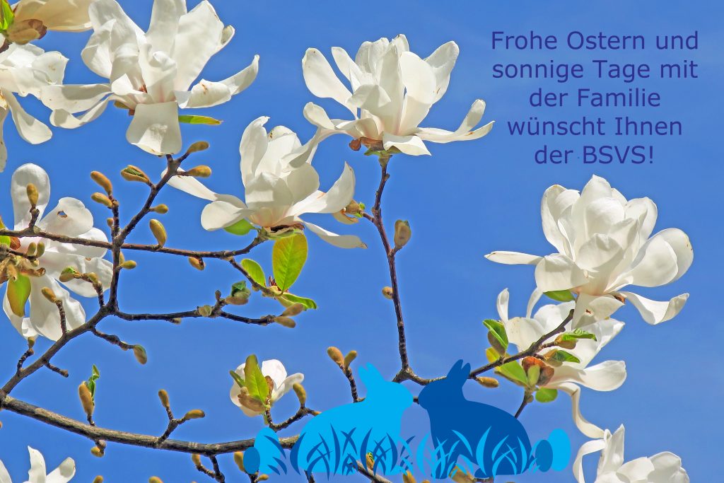 Blauer Himmel, Zweige mit weiße Blüten eines Magnolienbaumes und vereinzelt befinden sich grüne kleine Blätter an den Zweigen. In der rechten oberen Ecke stehen folgende Ostergrüße: "Frohe Ostern und sonnige Tage mit der Familie wünscht Ihnen der BSVS!". Mittig am unteren Bildrand sitzen zwei Osterhasen (hell und dunkelblau) im blauen Gras zwischen blauen Ostereiern.